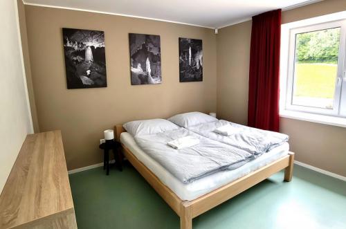 Balcarka loznice